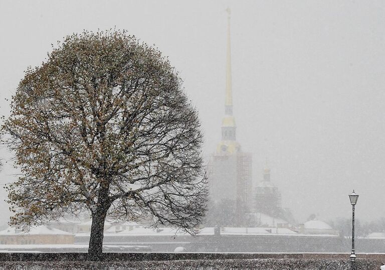 Снегопад в Санкт-Петербурге