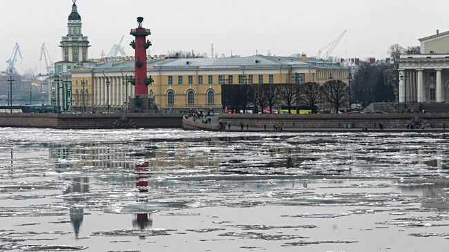 Весна пришла в Санкт-Петербург. Архив