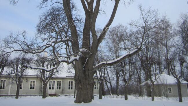 Златая цепь на дубе том... Златая цепь на дубе том...