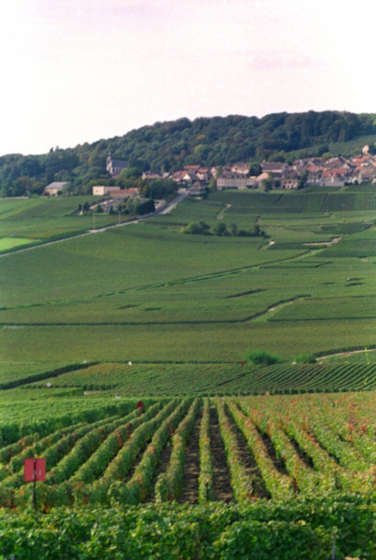 Провинция Шампань во Франции