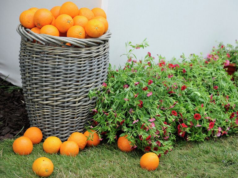 Открытие Московского международного фестиваля садов и цветов