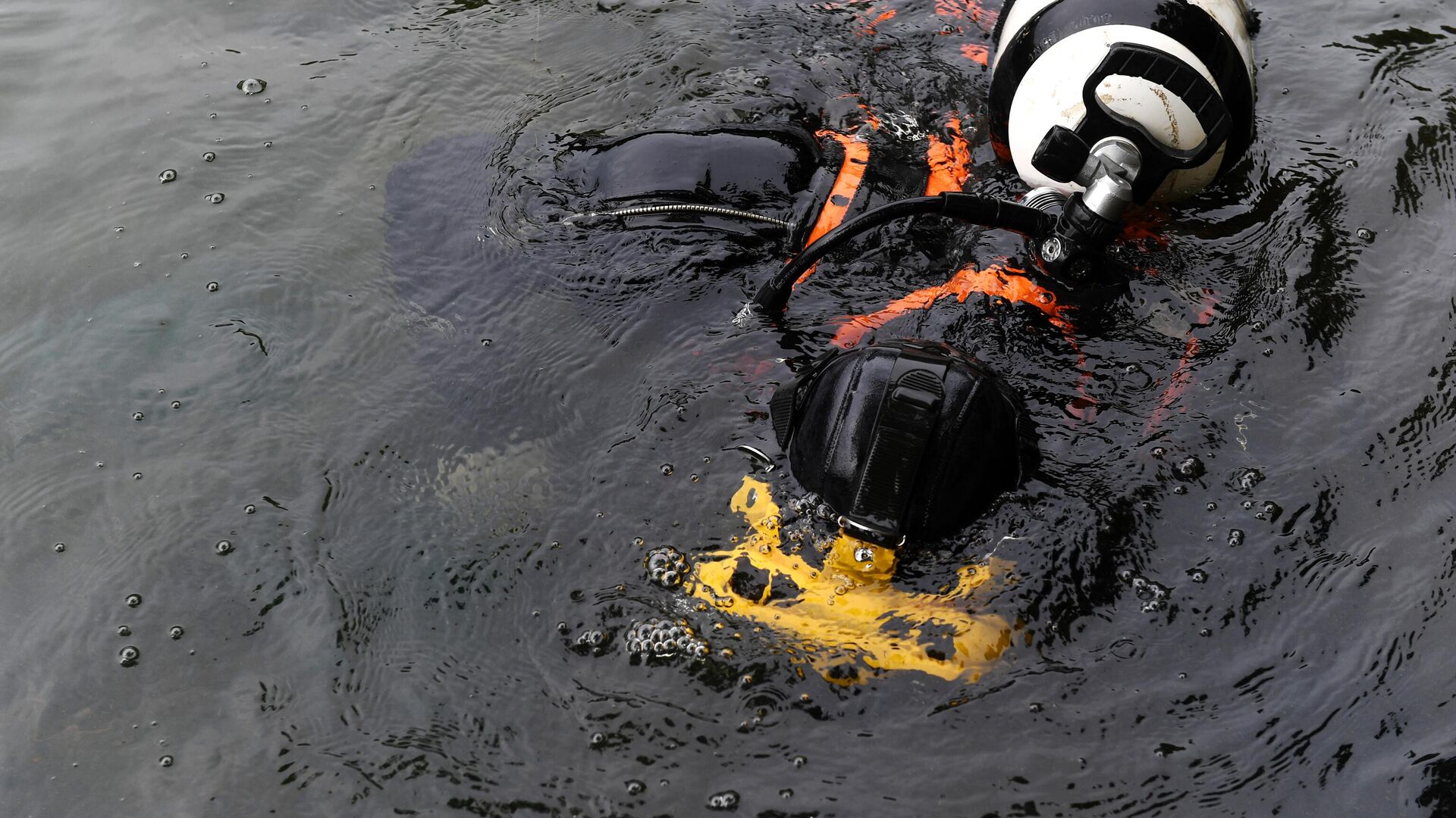 Водолаз погружается под воду для очистки Патриарших прудов в Москве - РИА Новости, 1920, 17.10.2024