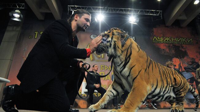 Дрессировщик Эдгард Запашный с тигром по кличке Мартин