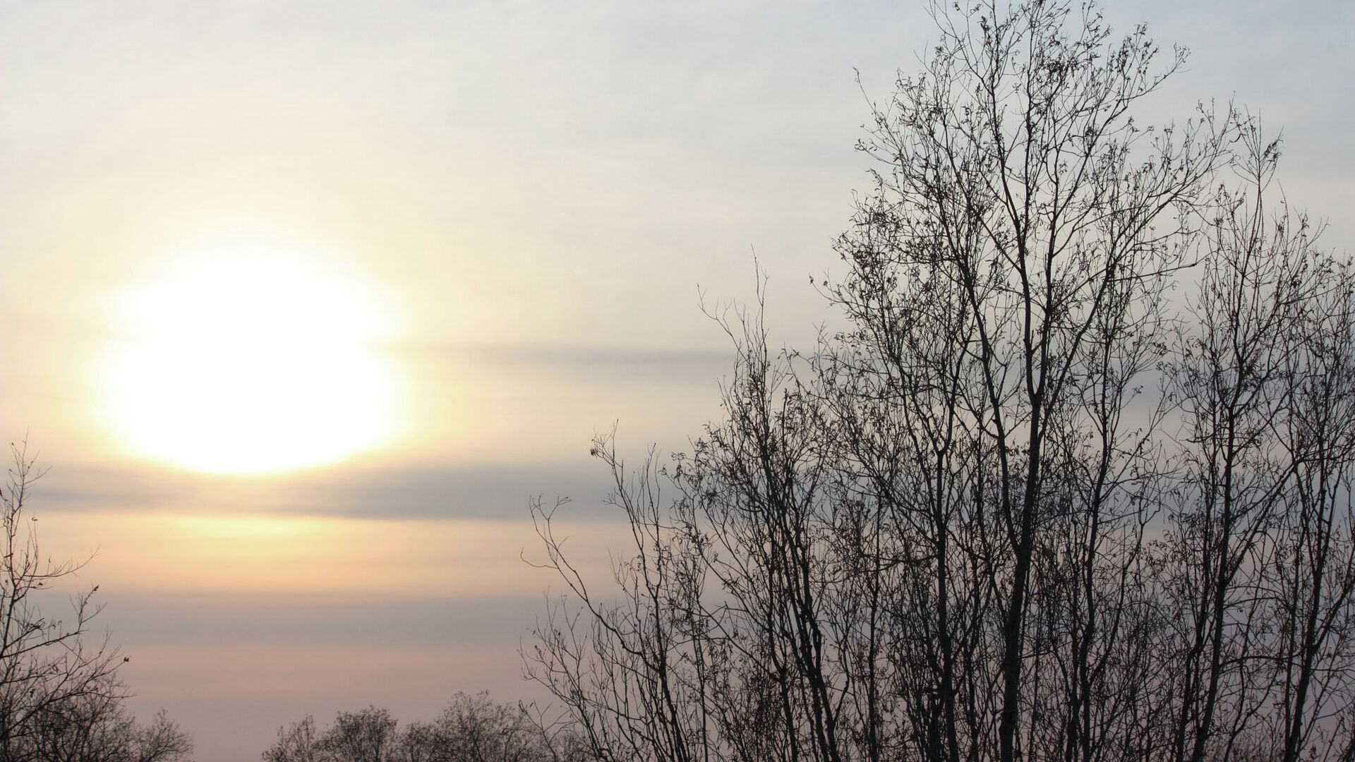 Весеннее солнце - РИА Новости, 1920, 26.02.2026