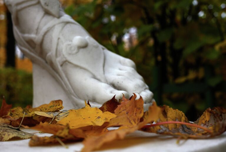 Золотая осень в Санкт-Петербурге.Летний Сад.