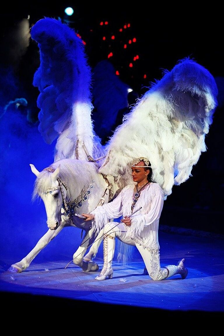 Новогоднее представление Золушка в Цирке на Фонтанке