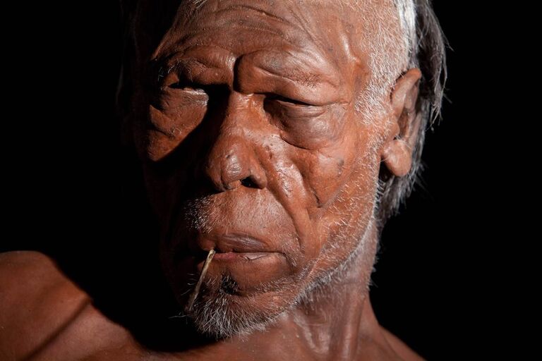 Модель древнего Homo Sapiens Модель древнего Homo Sapiens