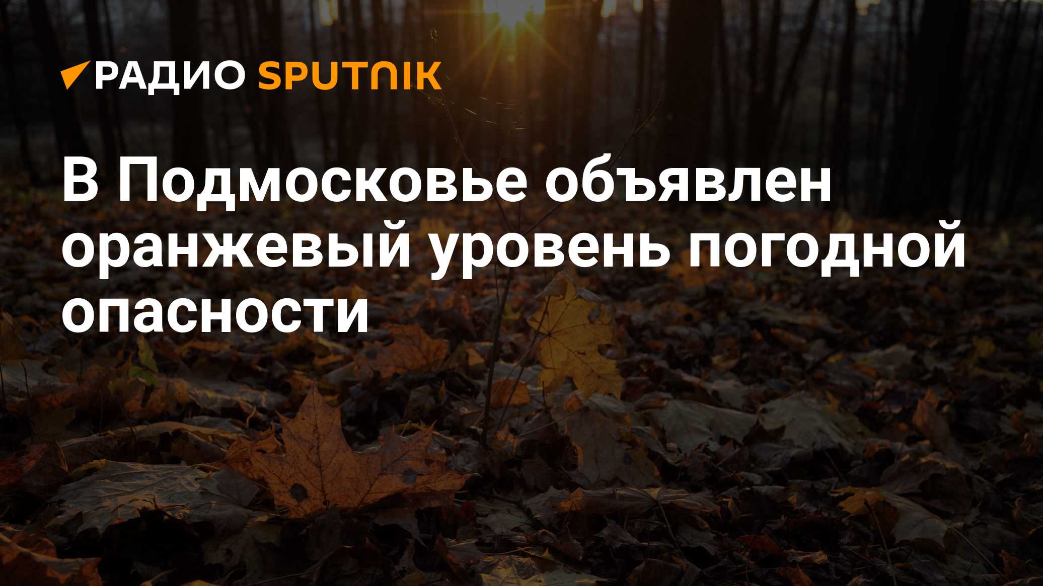 В Подмосковье объявлен оранжевый уровень погодной опасности